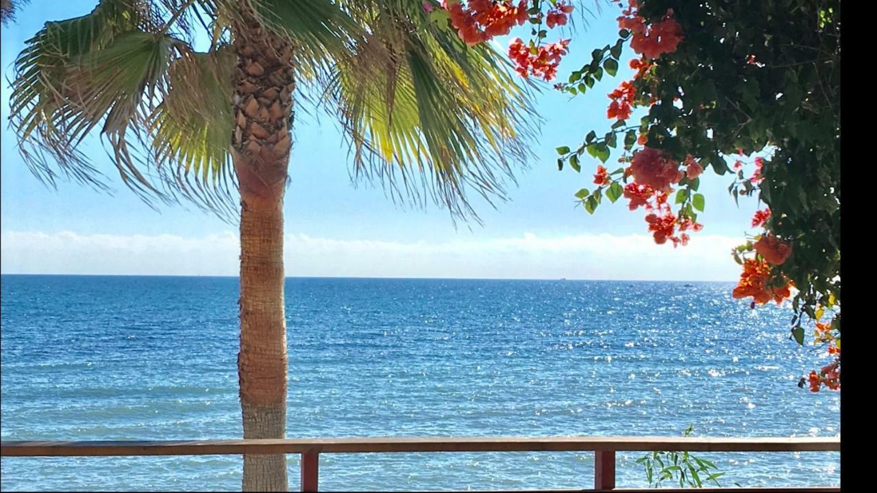 Sitio de Calahonda Mi Capricho 9A Beachfront- Apartment With Sea View - Costa Del Sol מראה חיצוני תמונה